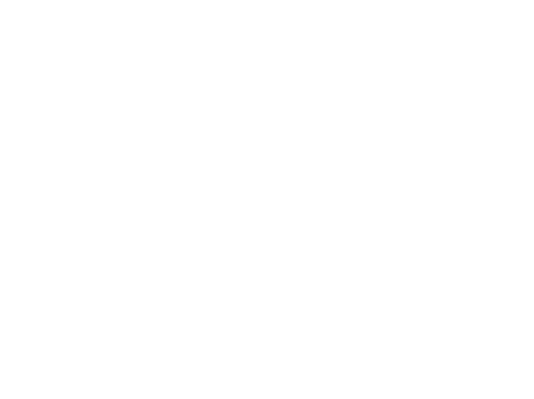FannFann Logo